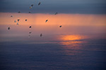 Flugbegleiter 3