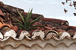 Lebenskunst