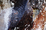 Sectretos 2