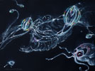 Leuchtreklame, 40 x 30 cm, 2023