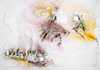 Einsichten, 50 x 64 cm, 2002