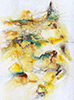 Chaos wird Form, 48 x 36, 2007