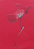Zeichnung auf ROT II, 30 x 20, 2010