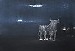 Es bitzelte ein wenig und grinsend dachte er: Beam me up, Scotty! 38 x 46, 2014